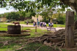 Private Countryside Coffee Farm Tour with Meals from Sao Paulo 3
