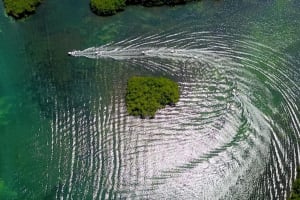 Mangrove Jungle Speedboat Tour in Nichupté Lagoon 4