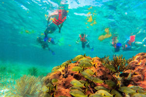 Puerto Morelos Reef Snorkeling Adventure 3