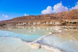 Jericho, Jordan River & Dead Sea Tour 3