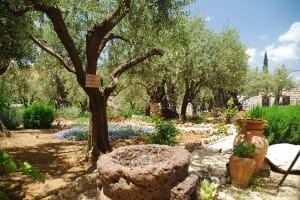 Jerusalem Old City & Mount Zion Day Tour 3