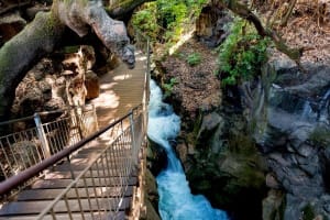 Northern Israel 2-Day Tour 3