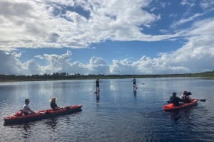 Dolphin and Manatee Adventure Tour in Osprey, Florida 3