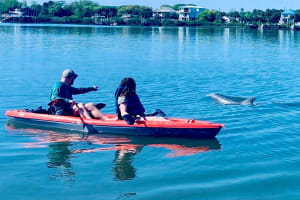 St. Augustine Wildlife Kayak Adventure 3