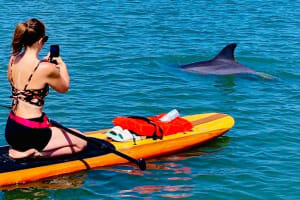 St. Augustine Wildlife Kayak Adventure 4