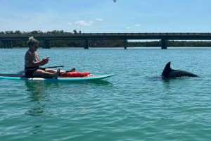 Dolphin and Manatee Adventure Tour in Naples 3