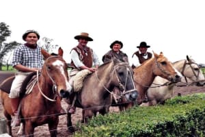 Tigre Delta & Gaucho Experience 3