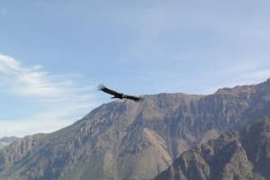 Southern Peru Adventure Tour 4