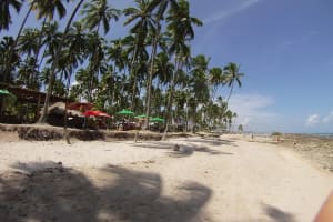 Praia de Carneiros Beach Tour 4