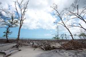Private Buggy Tour to Tatajuba and Ilha do Amor 3