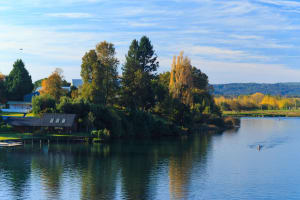 Valdivia Sightseeing Tour 4