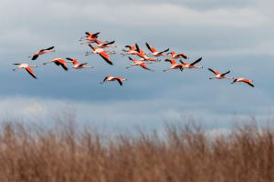 Laguna de los Pozuelos Full-Day Tour 3