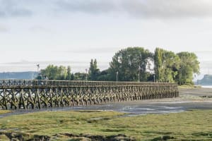 Chiloé Island Hidden Gems Tour 3