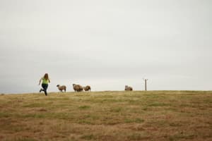 Chiloé Island Hidden Gems Tour 4