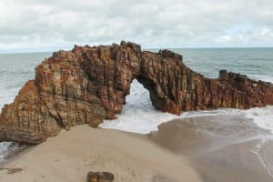 Jericoacoara Shared Transfer from Fortaleza Airport 4
