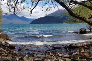 El Bolson and Lago Puelo Sightseeing Tour 3
