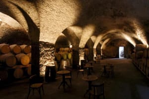 Montevideo Wine Cellar Tour with Lunch 3
