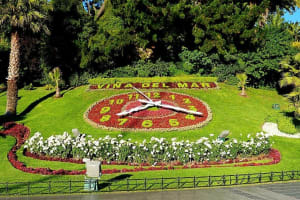 Viña del Mar & Valparaiso City Tour from Santiago 3