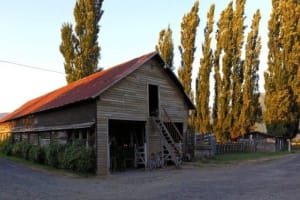 Private Full-Day Chiloé Island Tour 4