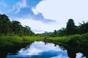 3-Day Manu Jungle Lodge Tour 3