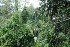 3-Day Manu Jungle Lodge Tour 4