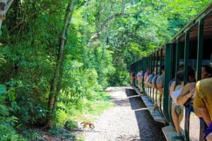 3-Day Iguazu Falls Adventure from Buenos Aires 3