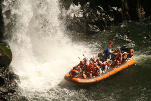 Foz do Iguaçu Airport Private Transfer 4