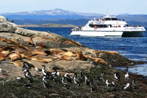 Beagle Channel Navigation & Trekking 4
