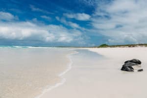 Quito, Galapagos & Guayaquil 7-Day Tour 3