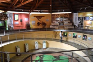 Quito, Galapagos & Guayaquil 7-Day Tour 4