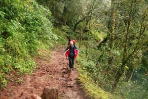 Yungas Half-Day Nature Tour from Tucumán 4