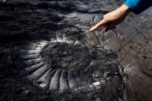 Estancia Cristina Fossil Canyon Trekking Adventure 4