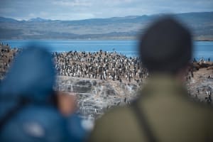 4-Day Ushuaia Adventure from Buenos Aires 4