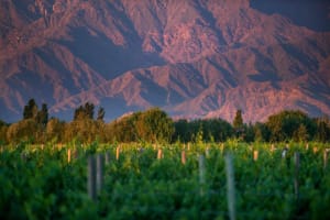 Premium Wine Road Adventure in Cafayate 3