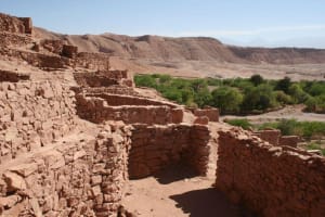 Atacama Archaeological Tour: Tulor & Quitor 4