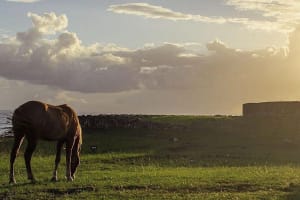 Easter Island Horseback Riding Adventure 4