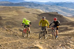 Patagonian Safari: Exploring Nature by Bike 3