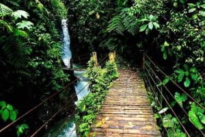 Mindo Cloud Forest Adventure 4