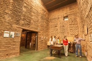 Tobacco Route Full-Day Tour from Salta 3
