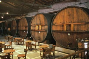 San Juan Wine Route Tour 3