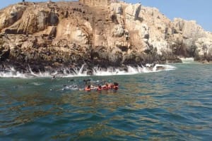 Palomino Islands Sea Lion Swimming Tour 4