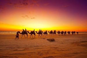 Agadir Sunset Camel Ride & BBQ Dinner 3