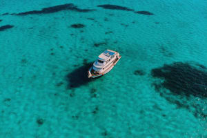 Dolphin House Snorkeling Adventure 3