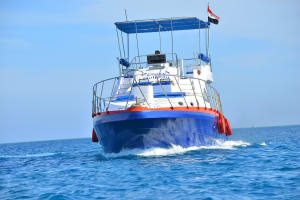 Private Dolphin House Boat Trip with Lunch 4