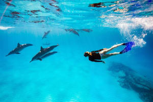 Private Boat Dolphin House Tour 4