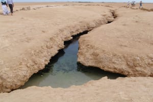 Ras Mohamed National Park Half-Day Tour 3