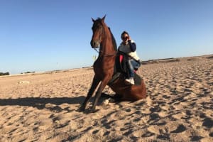 Hurghada Desert Horseback Riding Adventure 4