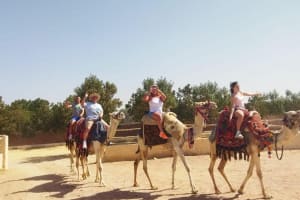 Hurghada ATV Quad & Horseback Adventure 3