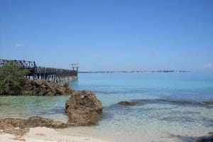 Prison Island & Spice Market Tour 3