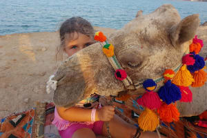 Marsa Alam Desert Camel Ride 4